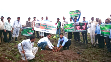 Tree Plantation Drive Matalpar, Gujarat