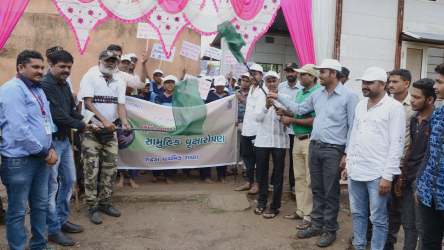 Tree Plantation Drive Saurashtra, Gujarat