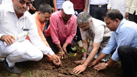 Tree Plantation Drive Saurashtra, Gujarat