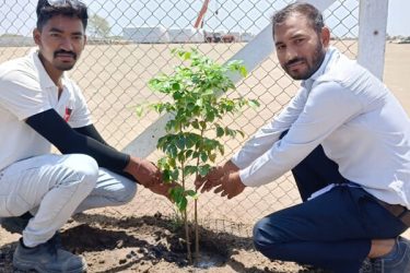 Greening Our Future: KP Human Development Foundation’s Tree Planting Event for World Environment Day! Green initiative that promises a brighter, healthier future for generations to come.