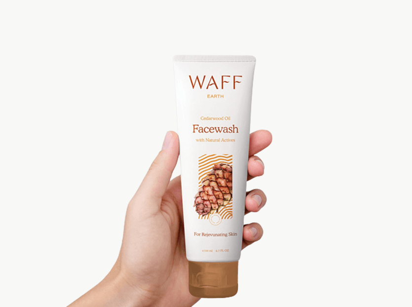 WAFF Earth Facewash